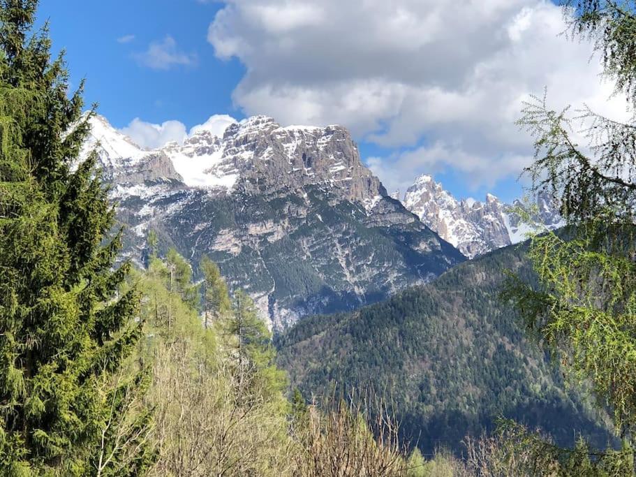 Appartamento Giada Pozzale Di Pieve Di Cadore Buitenkant foto