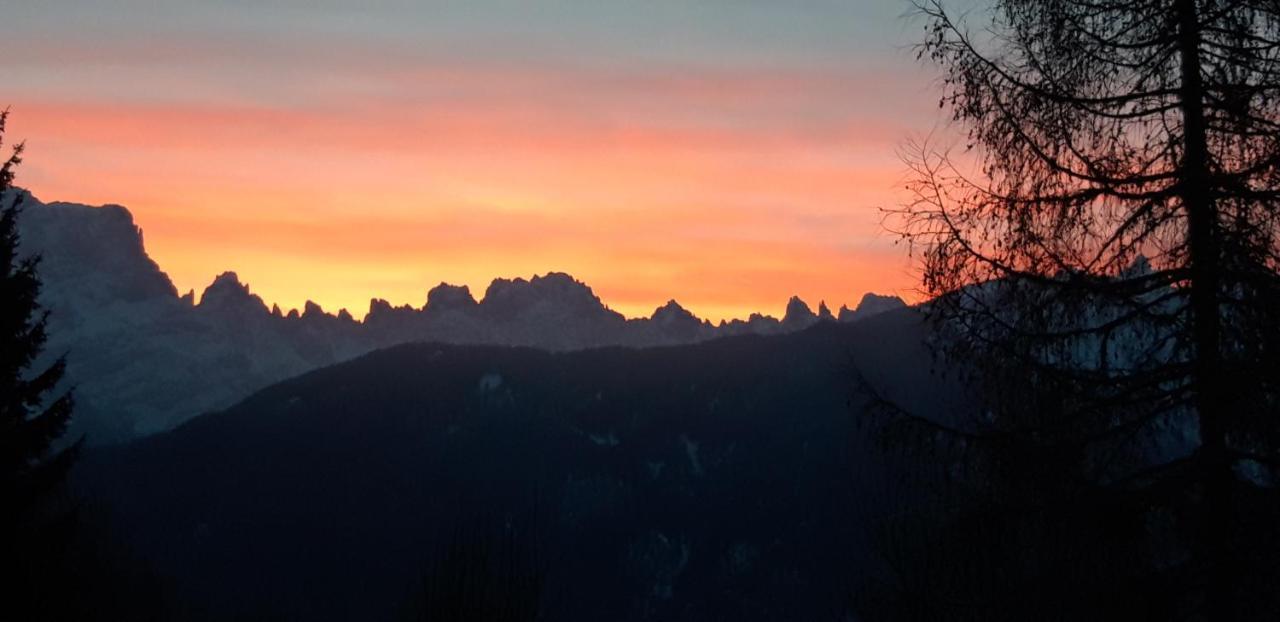 Appartamento Giada Pozzale Di Pieve Di Cadore Buitenkant foto