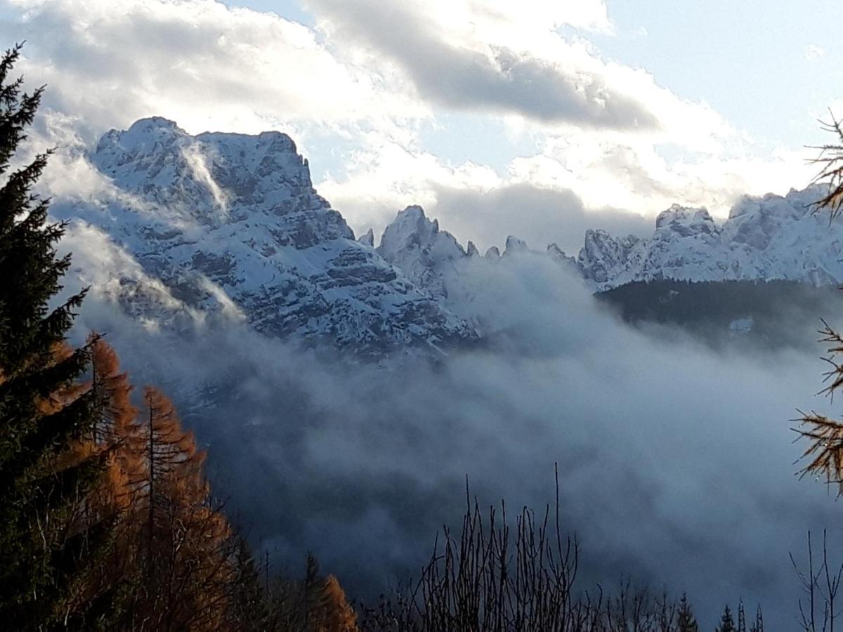 Appartamento Giada Pozzale Di Pieve Di Cadore Buitenkant foto